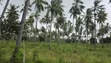 Eneo la Prime la Eka 12 Linauzwa Kilifi Tezo - 3