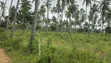 Eneo la Prime la Eka 12 Linauzwa Kilifi Tezo - 5