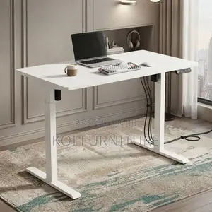 120cm Powered Ergonomic Adjustable Home Office Desk