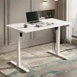 120cm Powered Ergonomic Adjustable Home Office Desk - 1