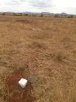 Viwanja Bora Emali Valley vya Robo-Eka Vinauzwa (3 Vinapatikana) - 1