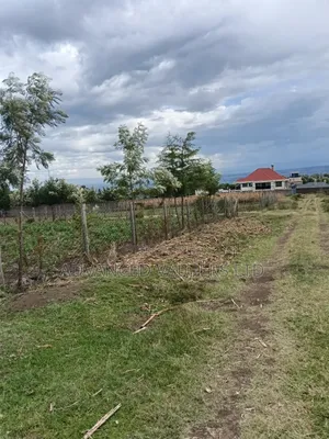 Eneo Bora la 1/4 Acre Kiamunyi, Nakuru
