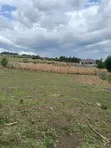Eneo Bora la 1/4 Acre Kiamunyi, Nakuru - 2