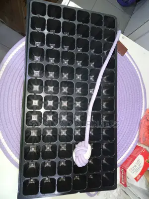 Planting Cell Seedling Trays - Wholesale