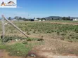 Kiwanja Bora cha Makazi 1/8 Eka Mzee Wa Nyama, Pipeline - 2