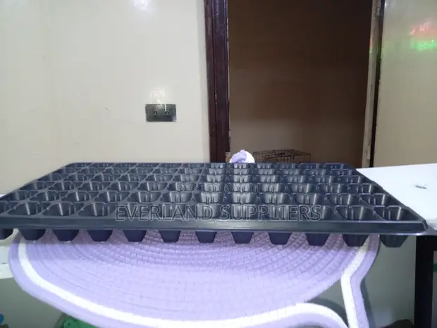 Seedling Development Trays - Wholesale - 1