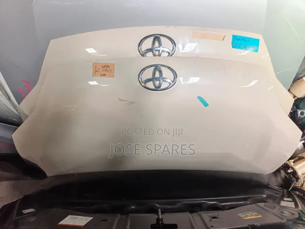Toyota Passo Bonnet (Hood) - 1