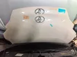 Toyota Passo Bonnet (Hood) - 1