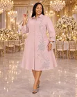 Cute Shirt Dress - 5