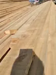 Cypress Timber - 2