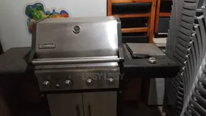 Kenmore Gas Grill