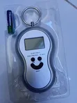 Digital Weighing Scale 50kg - 2