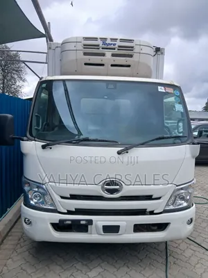Hino Dutro Freezer Truck