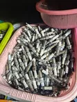 Spark Plugs Set for Japanese Cars - 2