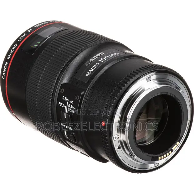 Canon EF 100mm f/2.8L Macro IS USM Lens - 1