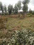 Furnished 13-Unit Block of Flats for Sale in Bahati-Murunyu - 3