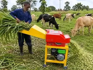 Masterfarm Silage Chopper - 1 Tonne/Hour