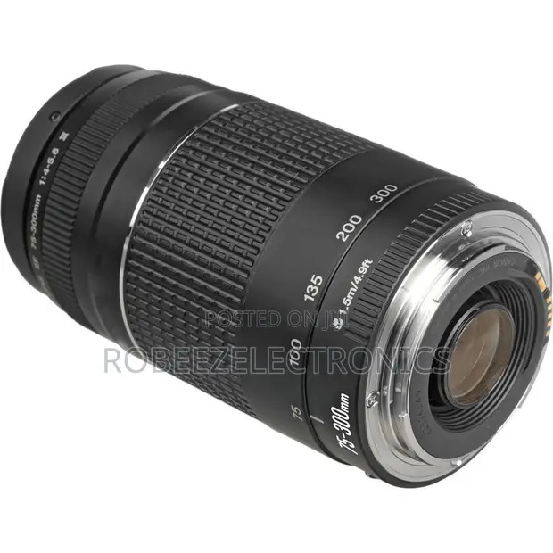 Canon EF 75-300mm f/4-5.6 III Lens - 1