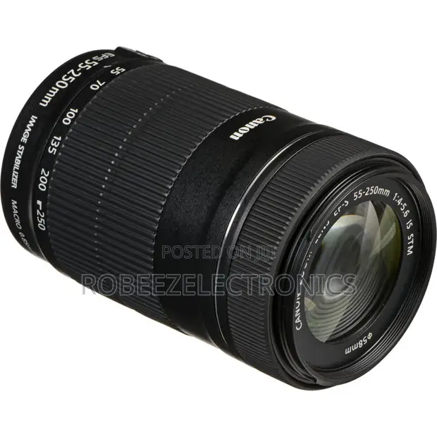 Canon EF-S 55-250mm f/4-5.6 IS STM Lens - 1