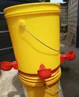 Automatic Poultry Feeder & Drinker with Cups - 2