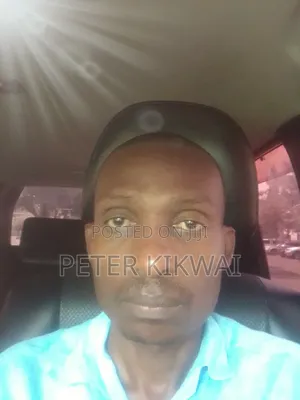 Professional Driver Available