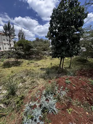 Kiwanja cha 3/8 Ekari Kinauzwa Zambia, Ngong - Mbele ya lami