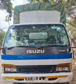 Isuzu NQR 2006 Nyeupe Lori Rigid - 3
