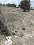 Kitalu cha 100x50 Kinauzwa, Barabara ya Kale ya Namanga - 2