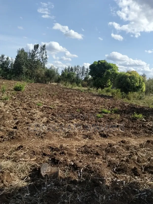 2 Acres Land for Sale in Sagana - 1