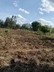 2 Acres Land for Sale in Sagana - 1