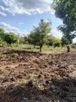2 Acres Land for Sale in Sagana - 2