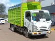 Isuzu NMR Mini Truck 2021 - 2