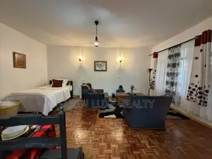 Studio Apartment for Rent in Karen