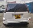 Nissan X-Trail 2004 White - 1