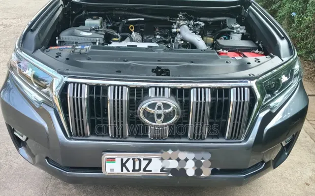 Toyota Land Cruiser Prado 3.0 2020 Gray - 1