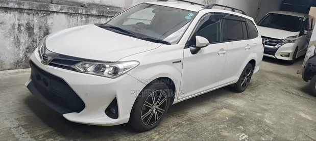 Toyota Corolla Fielder Hybrid 2019 - 1