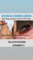 Huduma za Dawa za Kuua Wadudu Kisumu & Homabay - 5