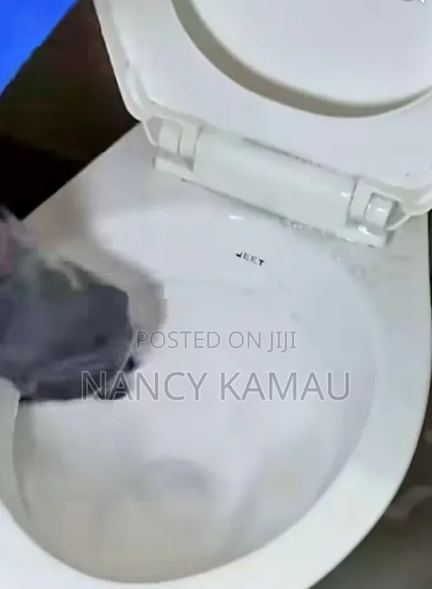 Routine Toilet Cleaning Service - 1