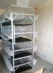 H Type Cage Layers - Brand New - 2