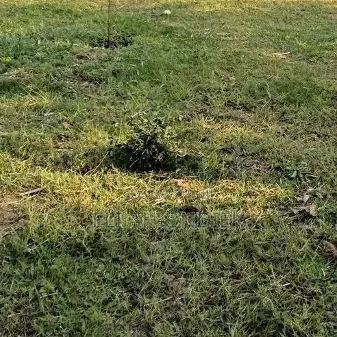 Prime 0.07Ha Plots for Sale near Chiga Police Station - 1