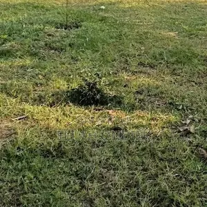 Vipande Bora vya 0.07Ha Vinauzwa Karibu na Kituo cha Polisi cha Chiga