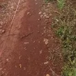 Prime 0.07Ha Plots for Sale near Chiga Police Station - 2