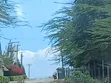 24 Acres Riverfront Land in Nanyuki Near Mayan Resort - 5
