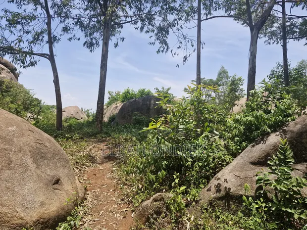 Prime 4 Acres Land for Sale, Daraja Mbili Hillside - 1