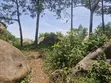 Prime 4 Acres Land for Sale, Daraja Mbili Hillside - 1