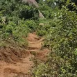 Prime 4 Acres Land for Sale, Daraja Mbili Hillside - 3