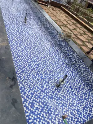 Fish Pond Maintenance Service