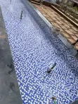 Huduma ya Matengenezo ya Kidimbwi cha Samaki - 1