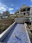 Huduma ya Matengenezo ya Kidimbwi cha Samaki - 3