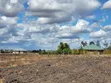 2 Acres Land for Sale in Malaa, 2km from Tarmac - 3